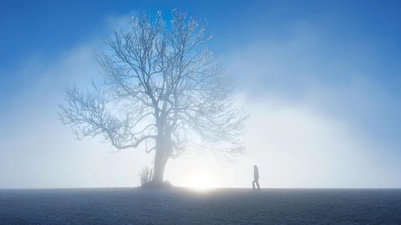 Hava Sıcak Ama Risk Büyük Sis, Pus Ve Rüzgâr Uyarıları Peş Peşe Geldi!-1