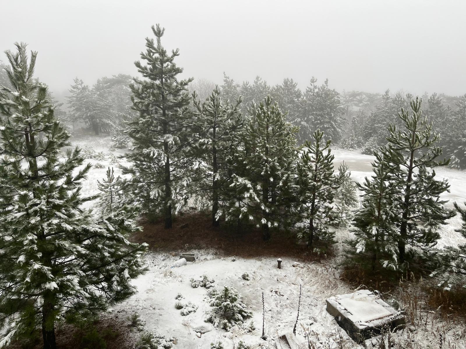 İşte Günün Hava Durumu Erciyes’e Kar Yağdı, Kars’ta Kırağı Etkili Oldu (1) Min