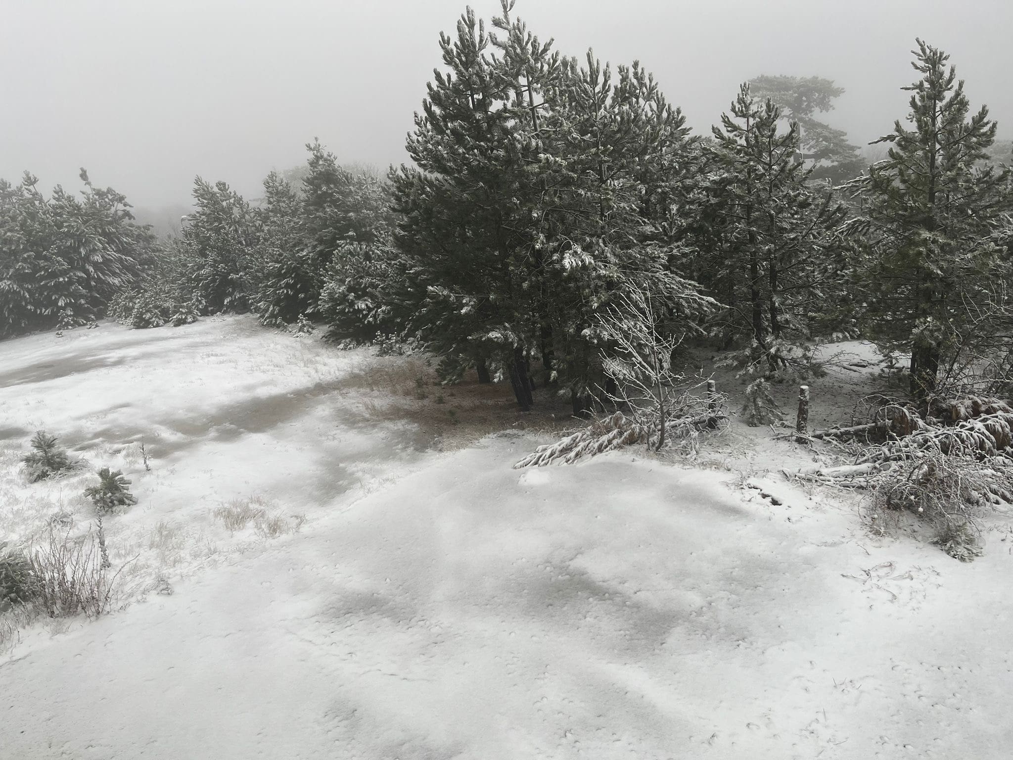 İşte Günün Hava Durumu Erciyes’e Kar Yağdı, Kars’ta Kırağı Etkili Oldu (3) Min