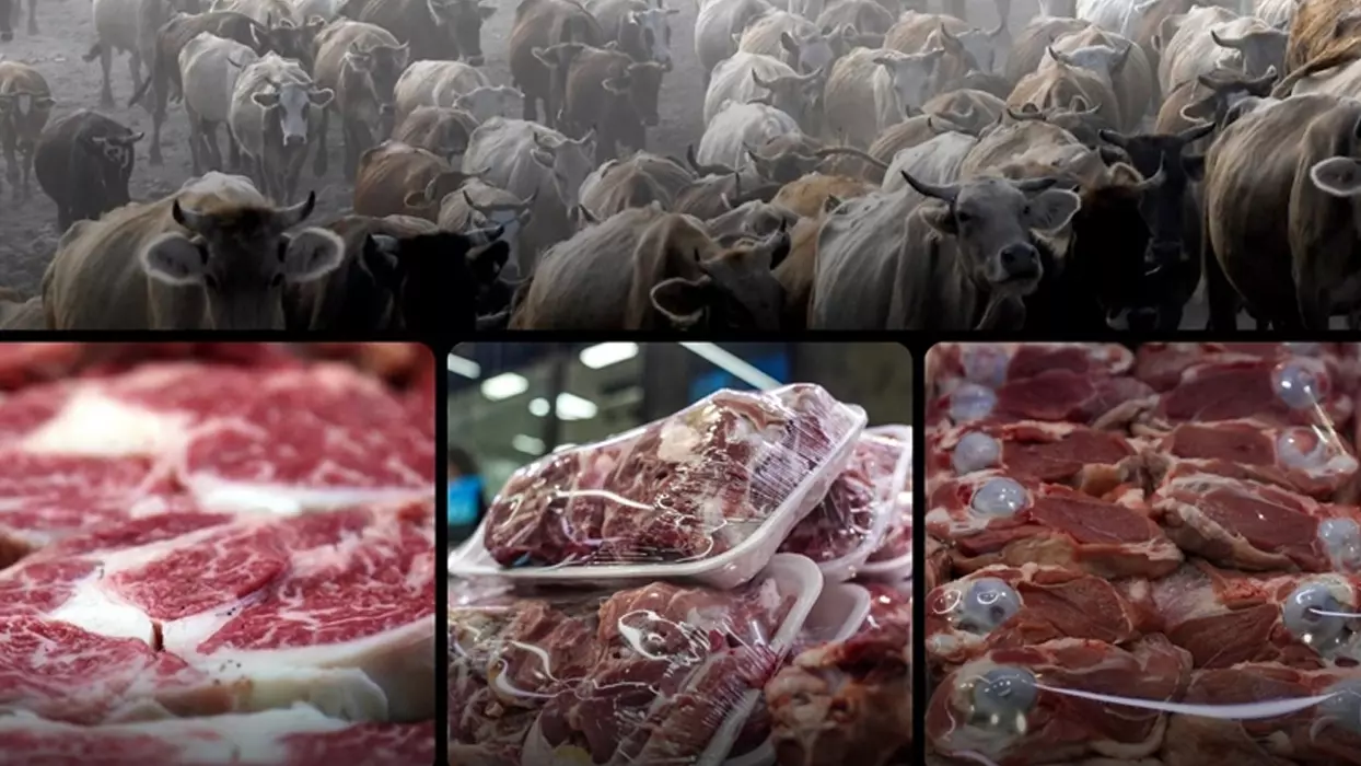 Kırmızı Et Fiyatlarında Yükseliş Sürüyor Fao Raporu Açıklandı! İşte Türkiye Ve Dünyadaki Son Durum...-1
