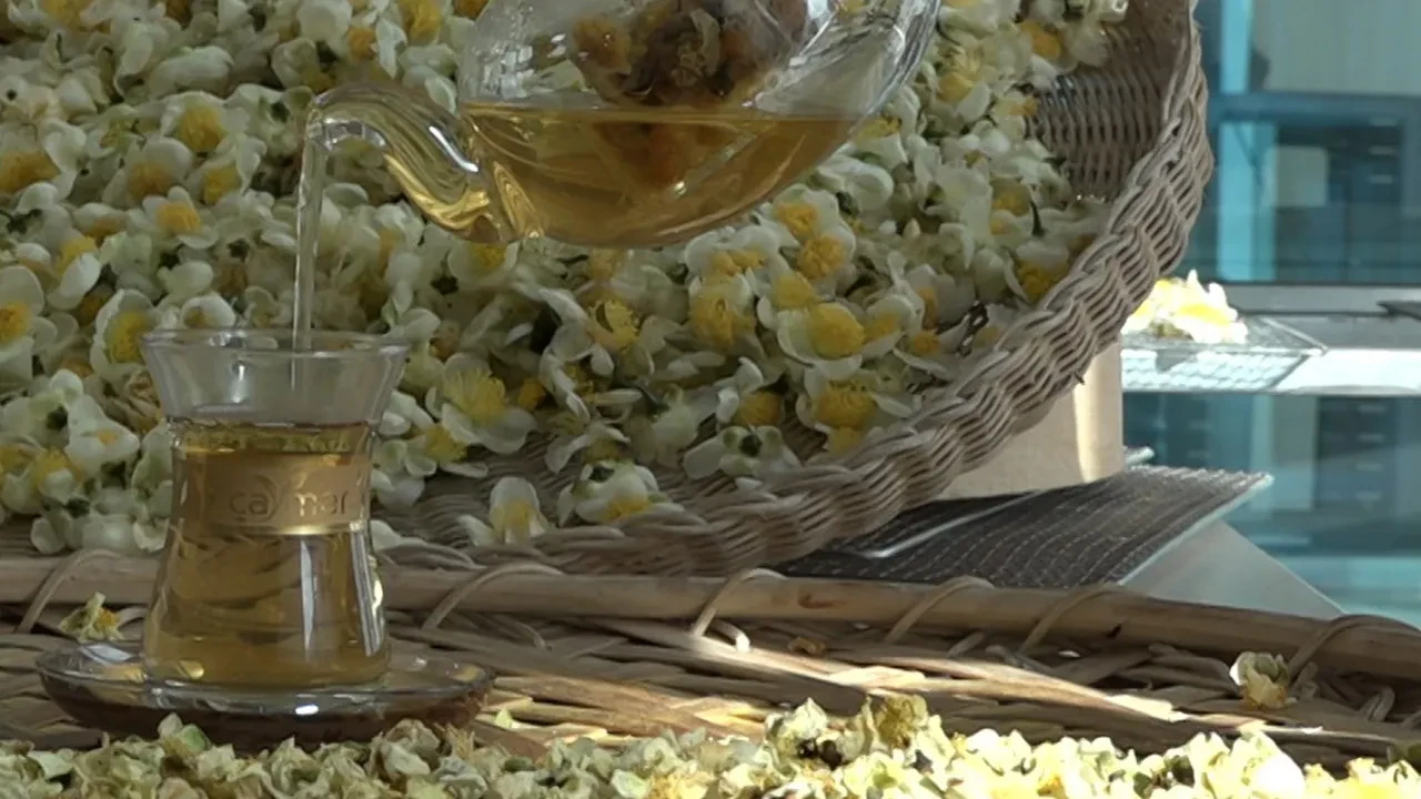 Müstahsile Yeni Kazanç Kapısı Kilosu 6 Bin Tl'den Satılıyor!S