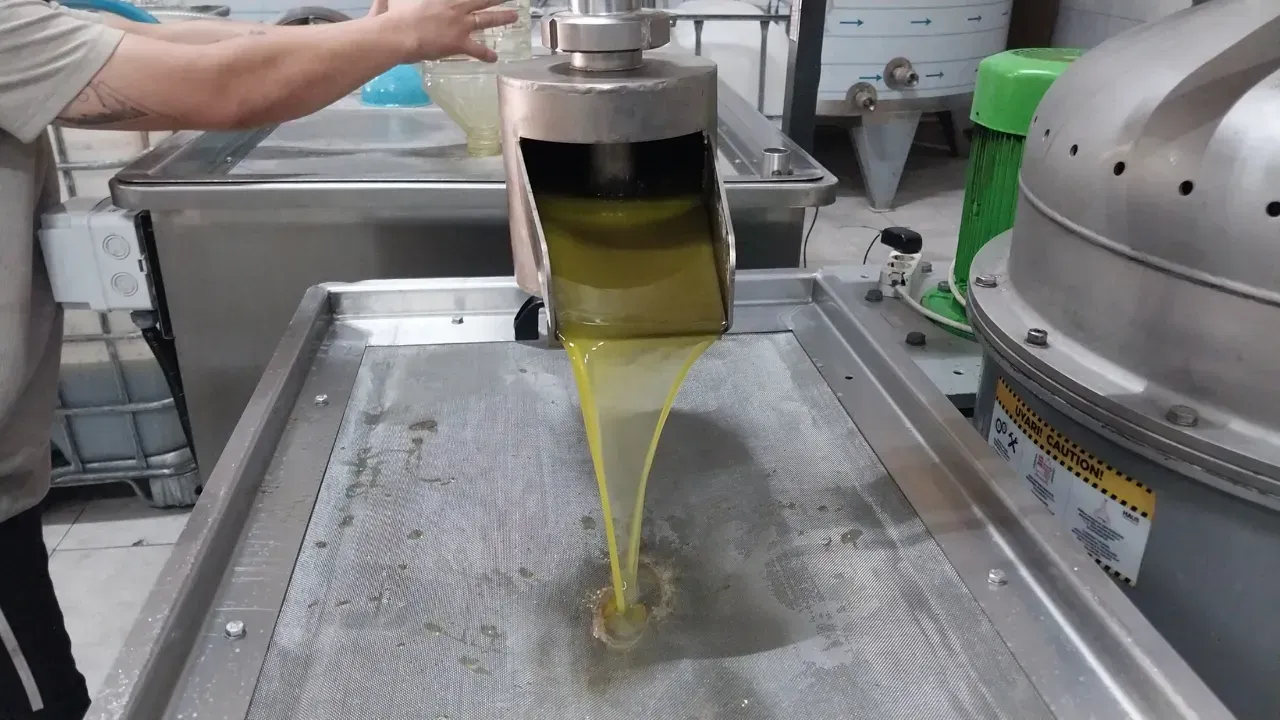 Mut'ta Zeytin Hasadı Sürüyor Sofralık 30 70 Tl, Zeytinyağı 250 350 Tl!-2