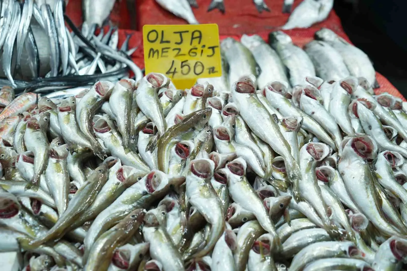 Samsun Balık Hali'nde Fiyatlar Yükseliyor Vatandaş Hamsiye Yöneldi!-1