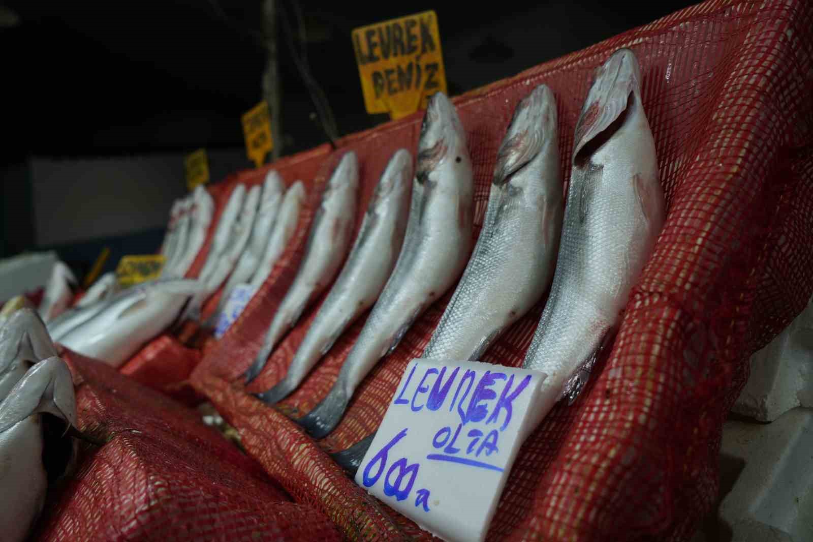 Samsun Balık Hali'nde Fiyatlar Yükseliyor Vatandaş Hamsiye Yöneldi!-3