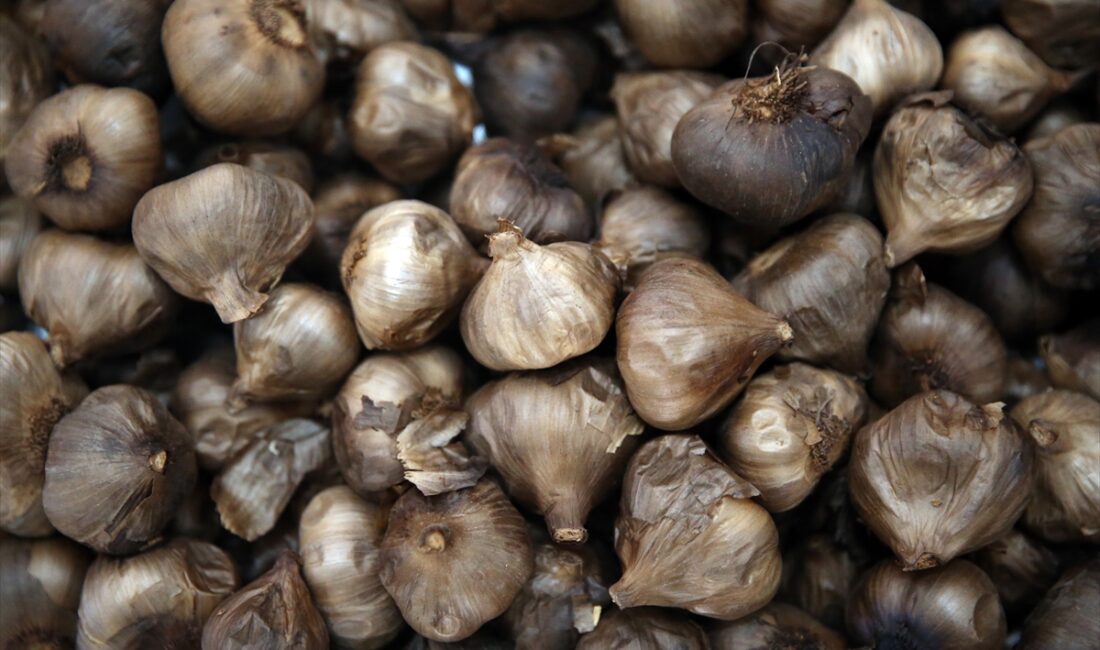 Taşköprü Sarımsağı Sabun Oldu Türkiye'nin Farklı Bölgelerine Satılıyor!-1