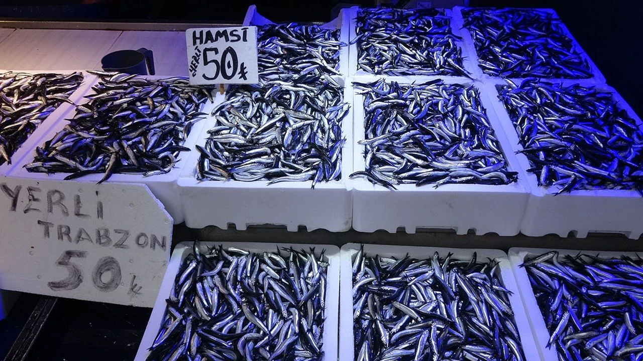 Trabzon’da Hamsi Bereketi Fiyatlar Düştü, Vatandaş Doydu!-2