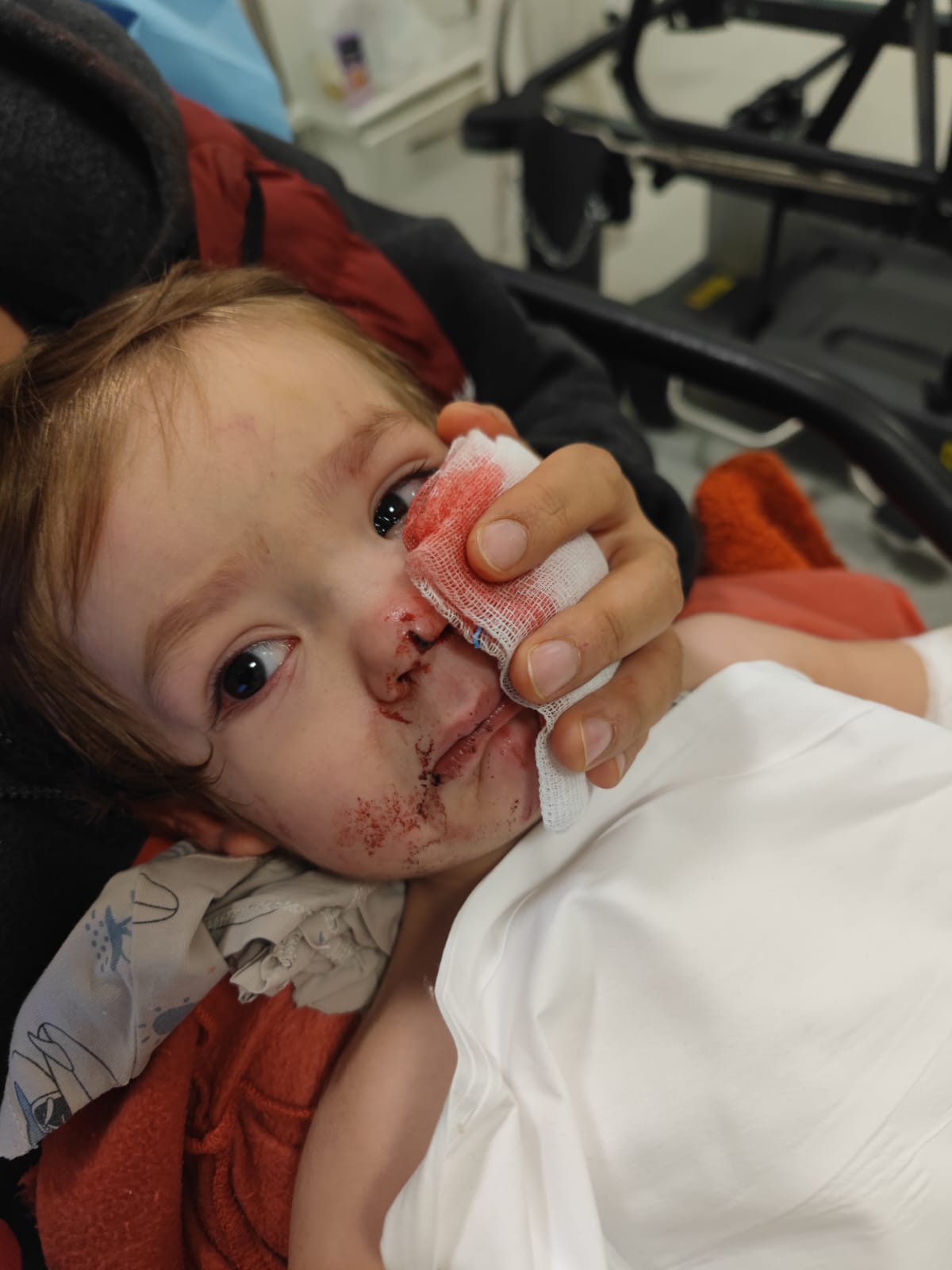 A A 20251130 39854139 39854136 B A S K E N T T E P I T B U L L C I N S I K O P E G I N S A L D I R I S I N A U G R A Y A N 2 C O C U K Y A R A L A N D I