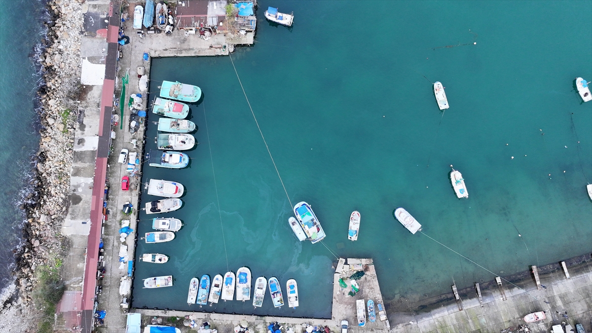 A A 20251226 40080934 40080926 D U Z C E D E B A L I K C I L A R B U S E Z O N A V M I K T A R I N D A U M D U G U N U B U L A M A D I