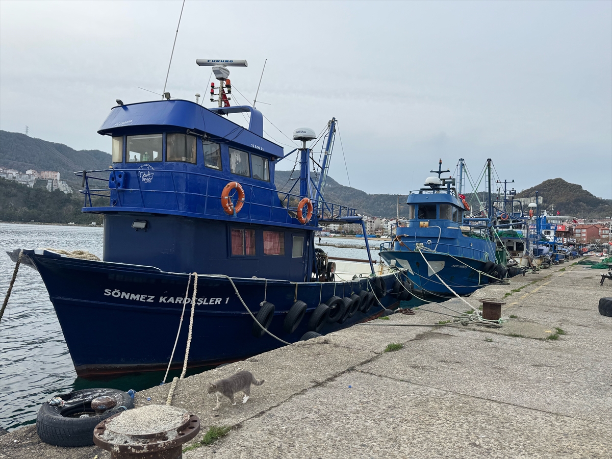 A A 20251226 40081266 40081265 D U Z C E V E B A R T I N D A B A L I K C I L A R B U S E Z O N A V M I K T A R I N D A U M D U G U N U B U L A M A D I