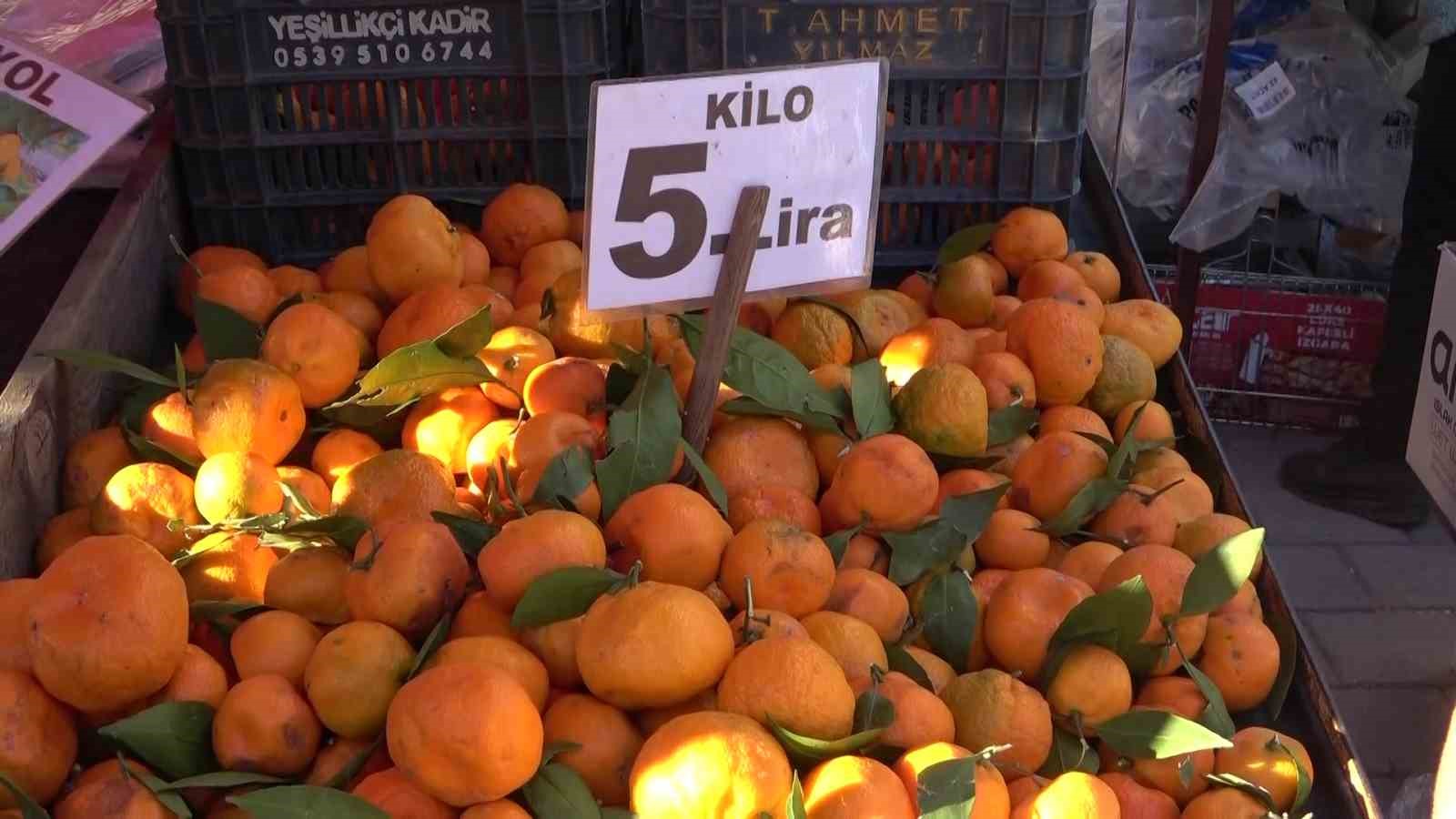 Adana'da Acı Hasat Grev Ve Plansızlık Mandalinayı Dalında Çürüttü! (2)