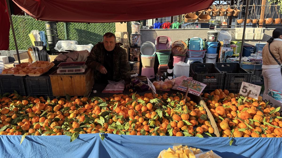 Adana'da Acı Hasat Grev Ve Plansızlık Mandalinayı Dalında Çürüttü!