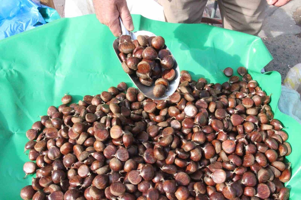 Aydın Kestanesi Tezgâhlarda Fiyat Etiketi 100 Tl’den 250 Tl’ye Uzandıg