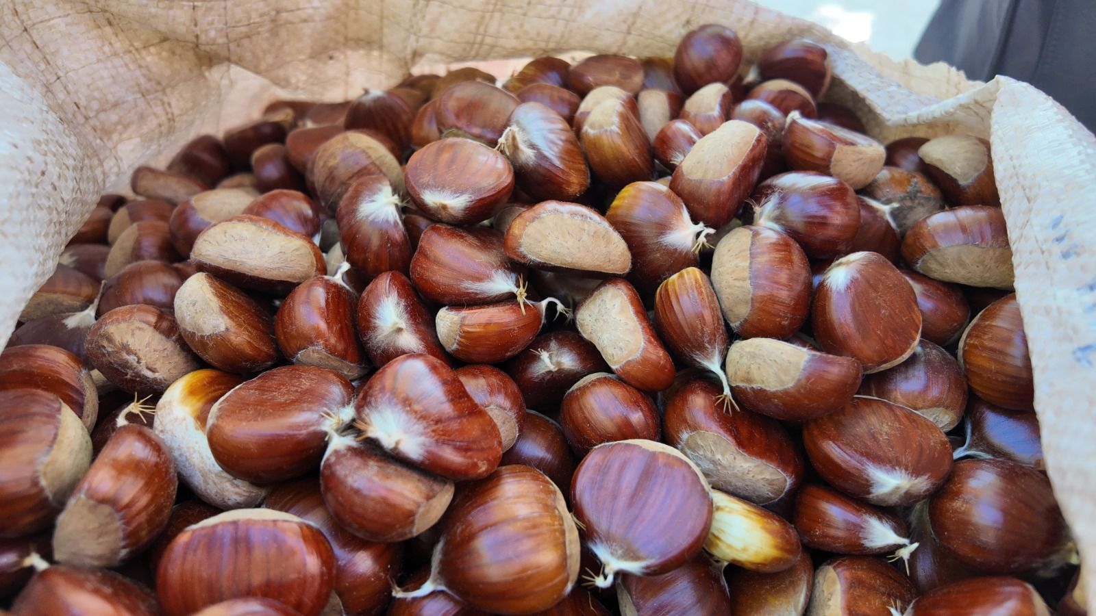 Aydın Kestanesi Tezgâhlarda Fiyat Etiketi 100 Tl’den 250 Tl’ye Uzandıh