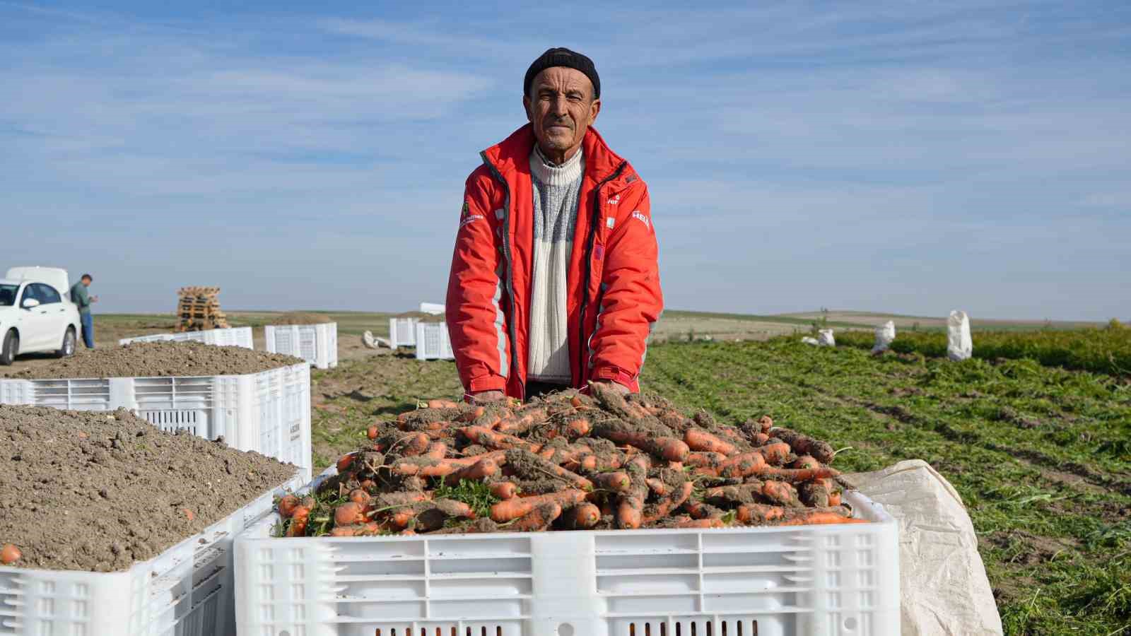 Beypazarı’nda Kışlık Havuç Sezonu Açıldı Rekor Verim Su Kıtlığı Gölgesinde Kaldı!-2