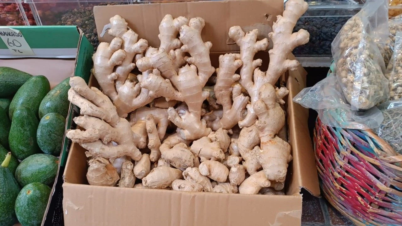 Bolu’da Kışın Doğal Kalkanı Belli Oldu Yaş Zencefil Yok Satıyor!-1