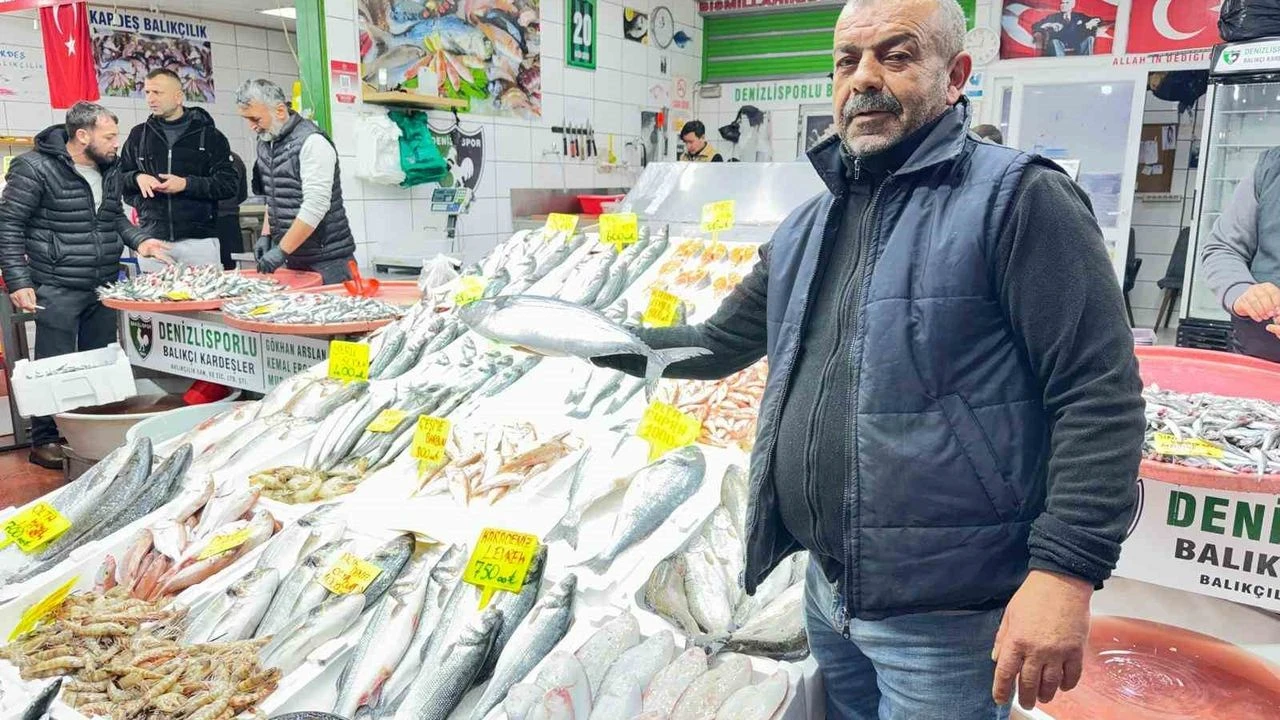 Denizlerde Nöbet Değişimi Palamut Gitti, Sahne Hamsi Ve Istavritin Oldu!-1