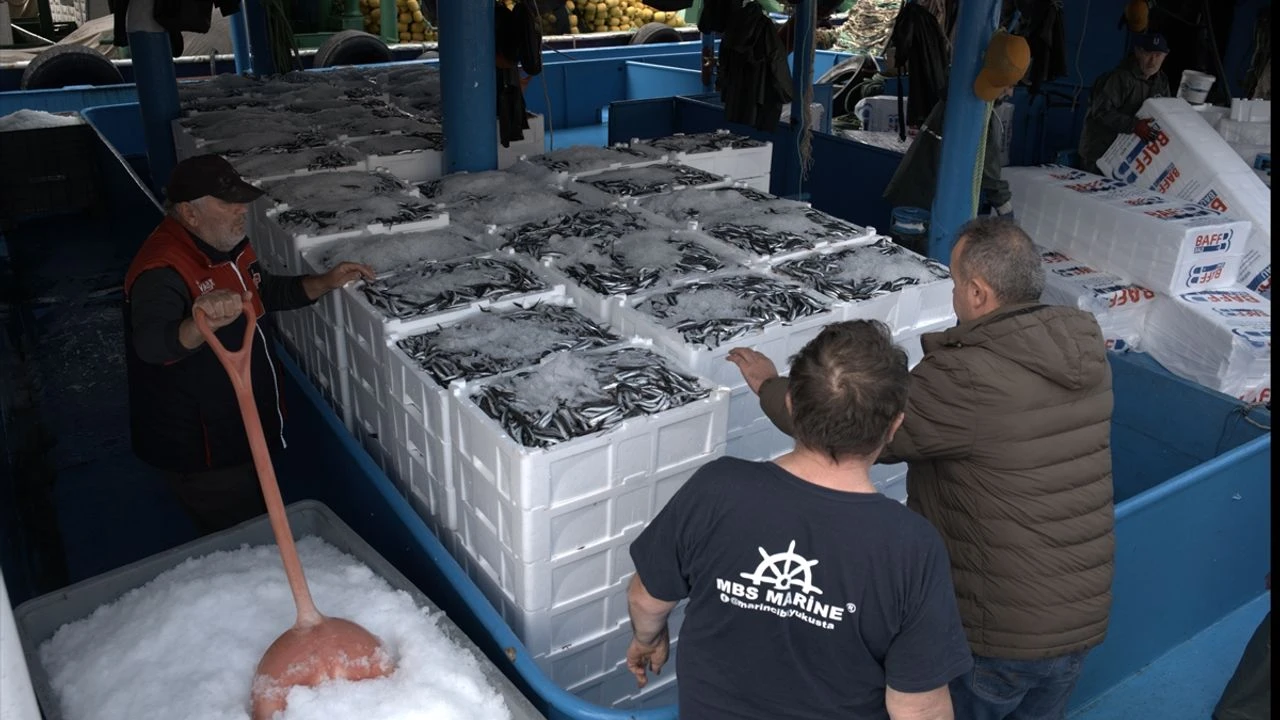 İğneada'da Av Mesaisi Karadeniz’in Hamsi Filosu Kırklareli’ye Demirledi!-1