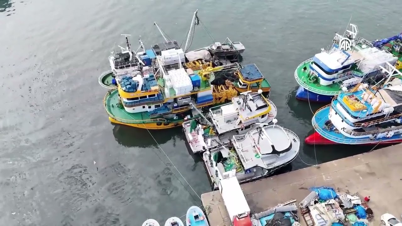 İğneada'da Av Mesaisi Karadeniz’in Hamsi Filosu Kırklareli’ye Demirledi! (2)-1