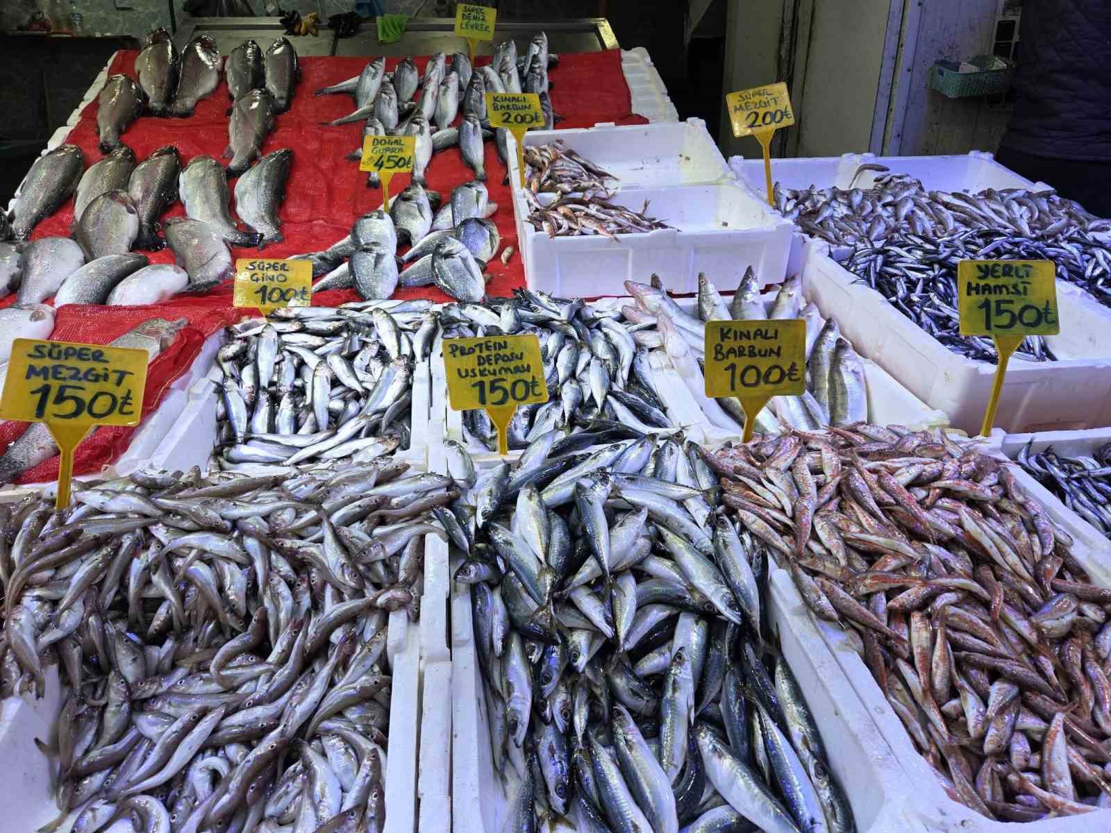 Karadeniz'in Favorisi Hamsi Fiyatı Üç Katına Çıktı!-4