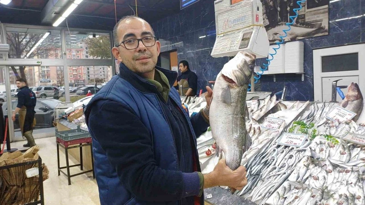 Kayseri Tezgahlarında Bereketli Sezon Palamut Azlığı Hamsi Bolluğuna Dönüştü!S