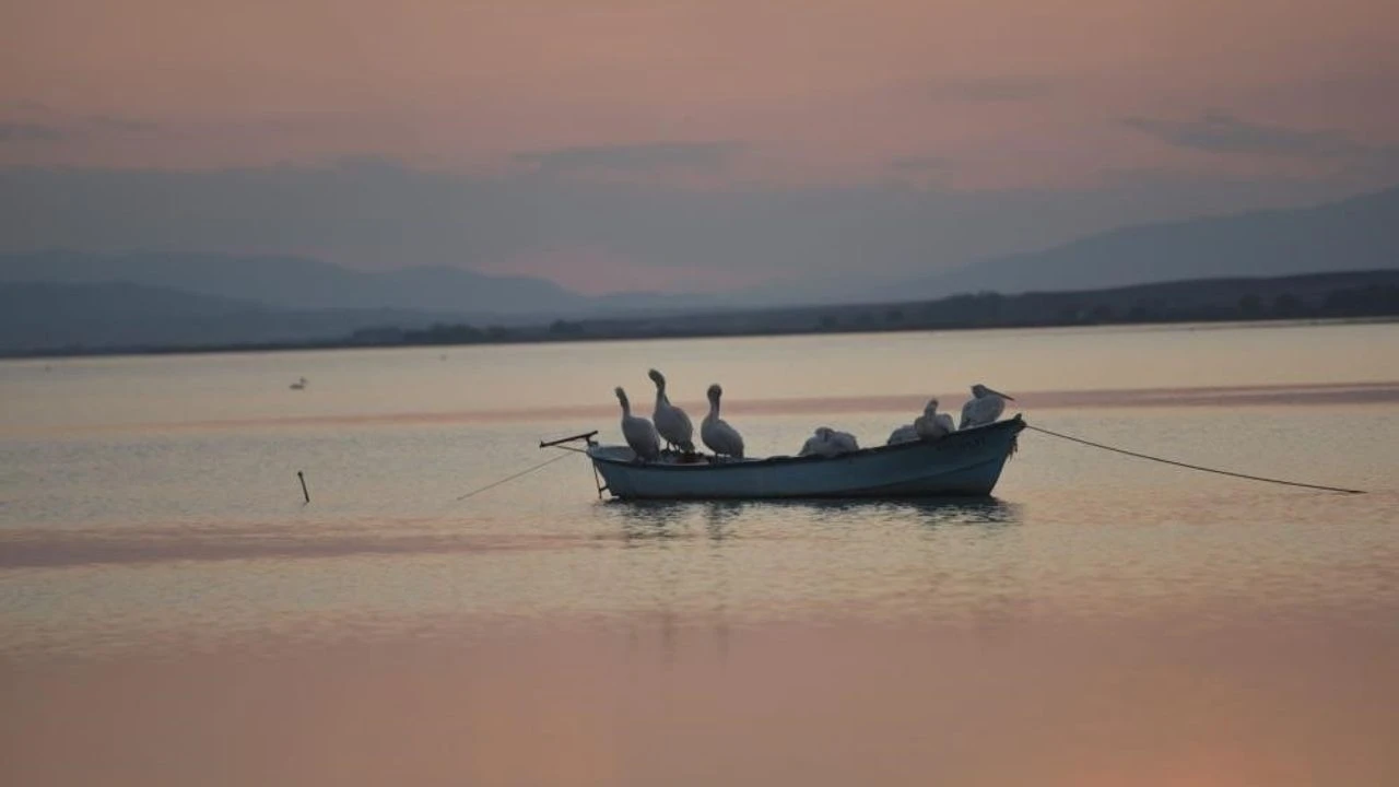 Manyas Barajı'nda Alarm Zilleri Çalıyor Karacabey Ovası'nda Çeltik Üretimine Kısıtlama Geldi!S