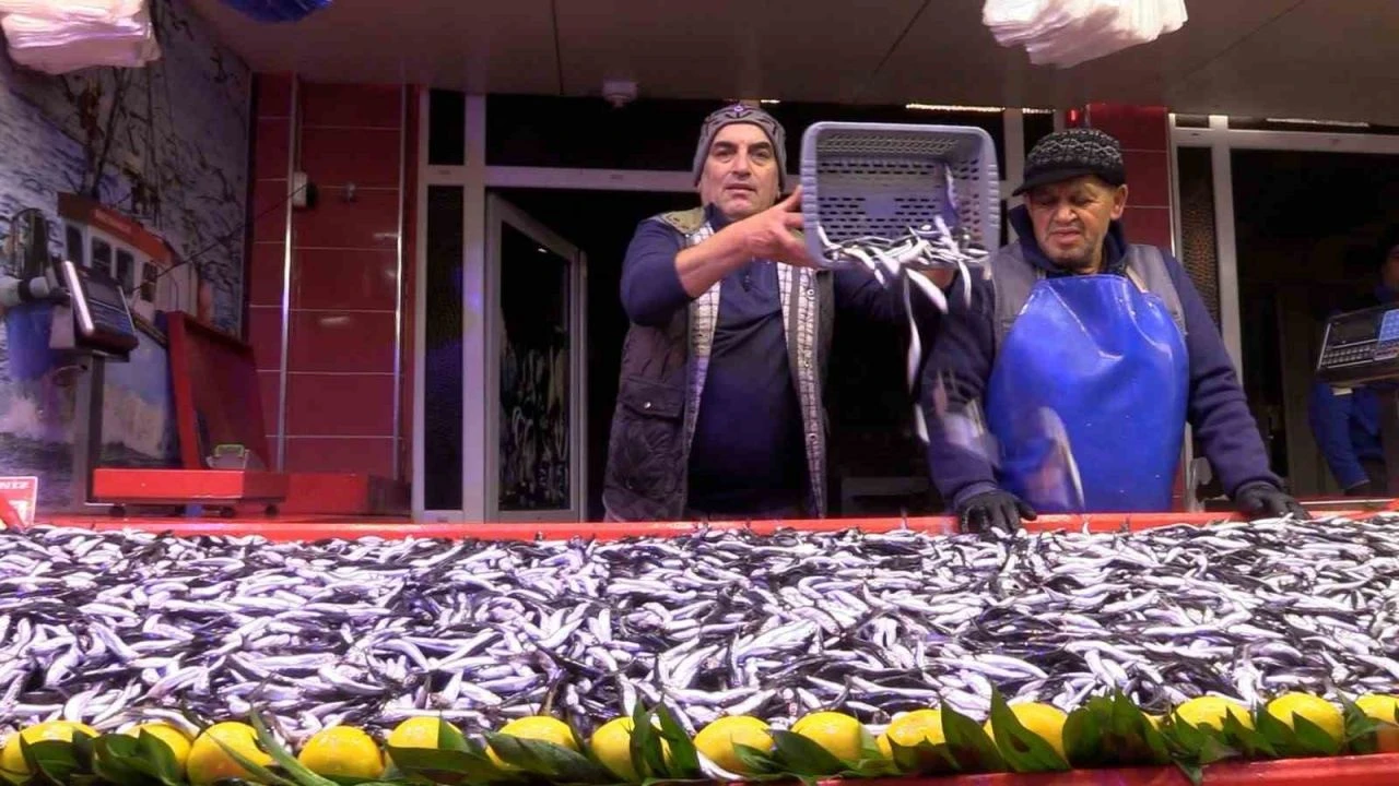 Rize Hamsisi Bolu Pazarına Damga Vurdu Fiyatı 150 Tl’ye Düştü, Yoğun Ilgi Gördü!G