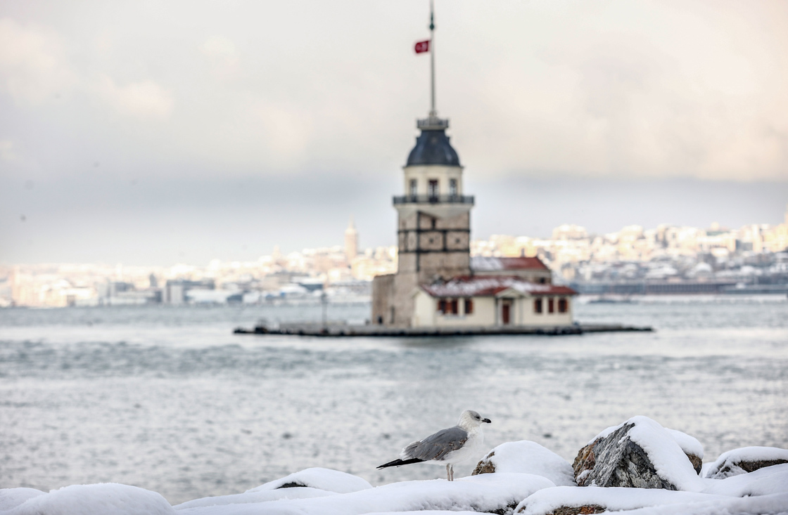 S U B A T2021 Kuleic