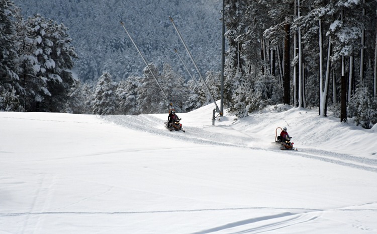 Sarıkamış’ta Kartpostallık Manzara Sarıçamlar Beyaza Büründü (3)