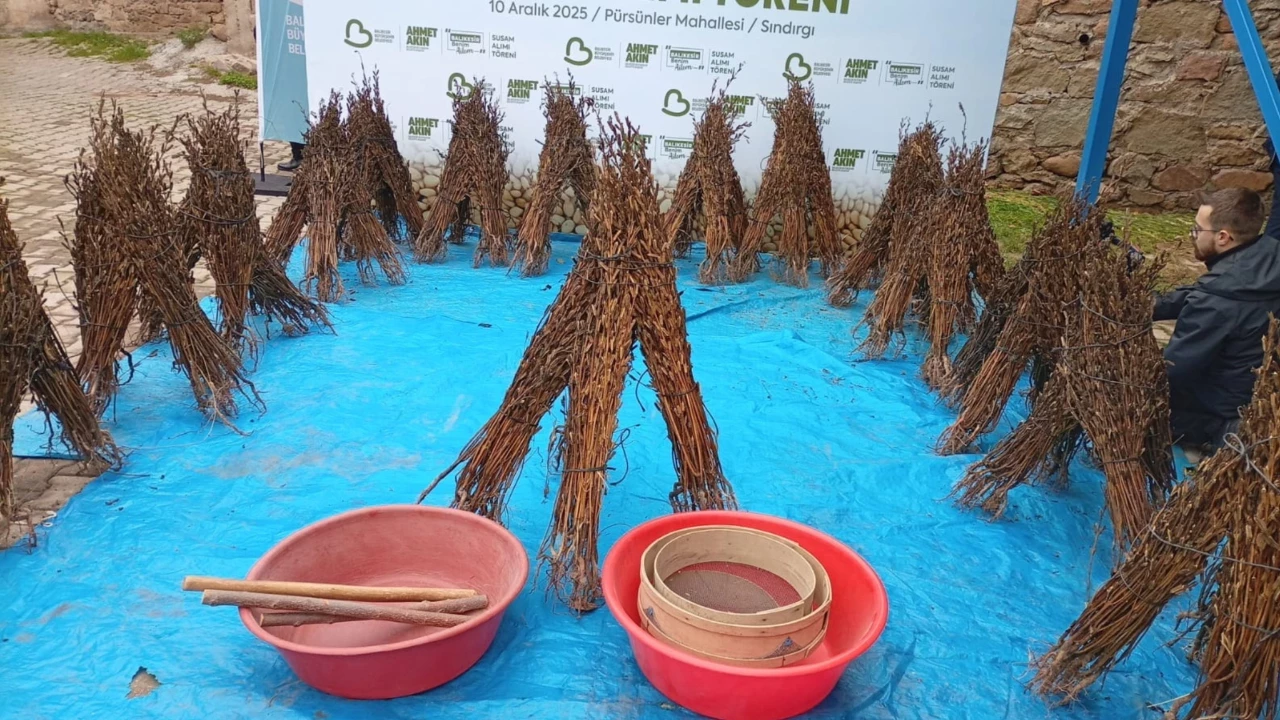 Sındırgı'da Susamın 2025 Fiyatı Belli Oldu Başkan Akın Açıkladı!A