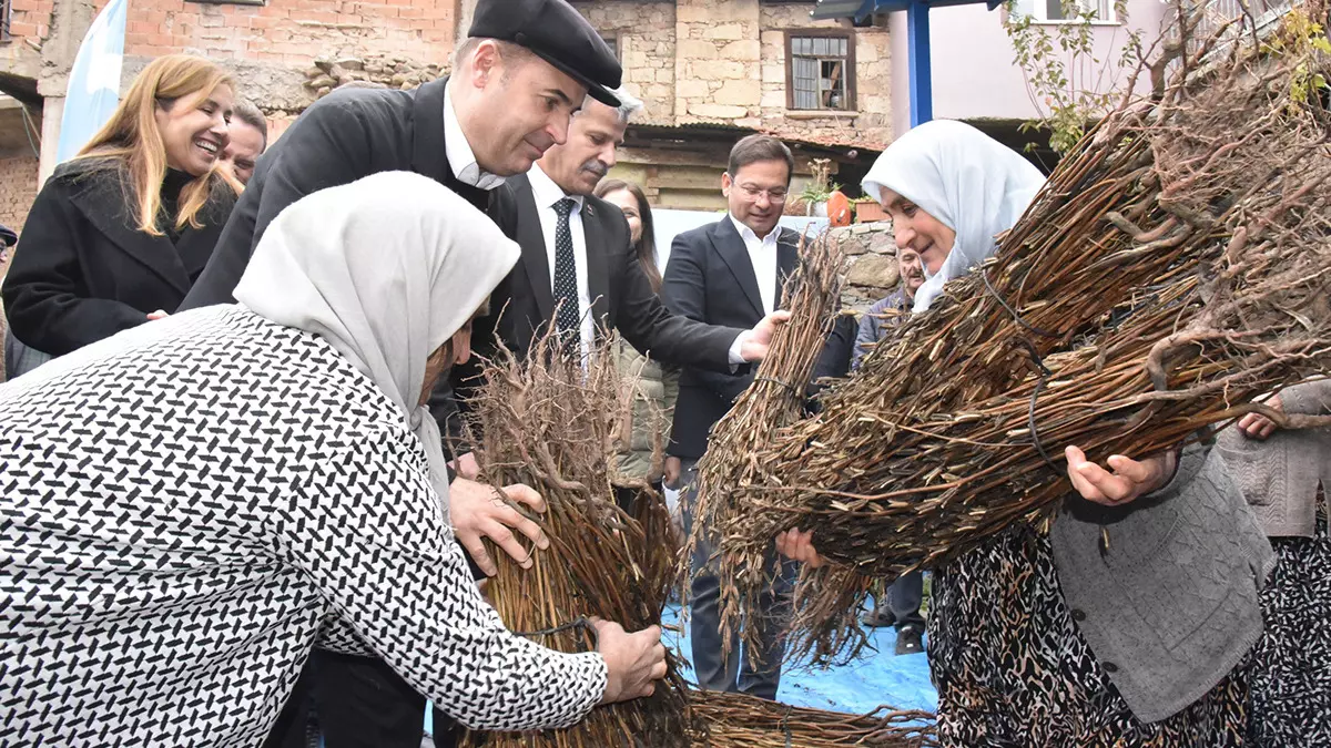 Sındırgı'da Susamın 2025 Fiyatı Belli Oldu Başkan Akın Açıkladı!S