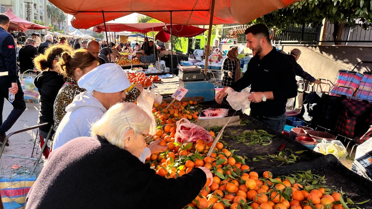 Tadana'da Acı Hasat Grev Ve Plansızlık Mandalinayı Dalında Çürüttü!