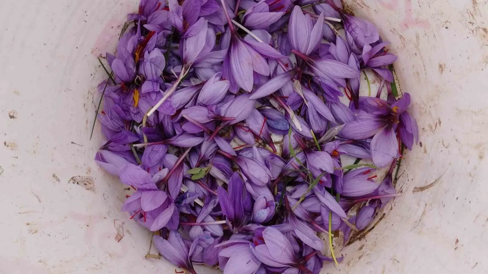 Talep Patladı, Üretici Yetişemiyor Gramı 600 Tl'den Satılıyor!G