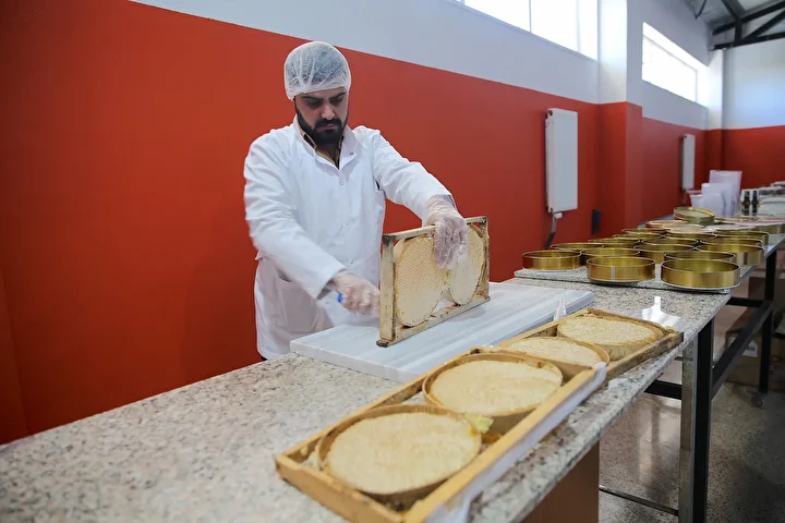 Vanlı Arıcı Dubai'ye 16,5 Ton Petek Bal Sattı (1)