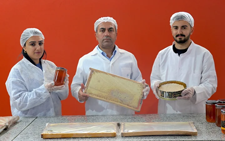 Vanlı Arıcı Dubai'ye 16,5 Ton Petek Bal Sattı (2)