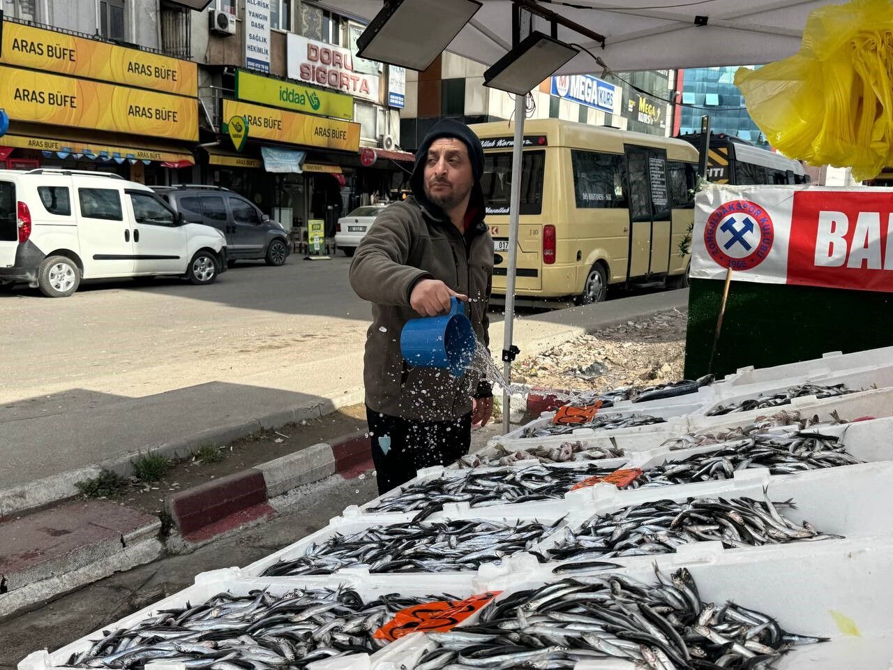 Zonguldak’ta Palamut Tezgâha Küstü Gözler Hamsiye Çevrildi! (2)