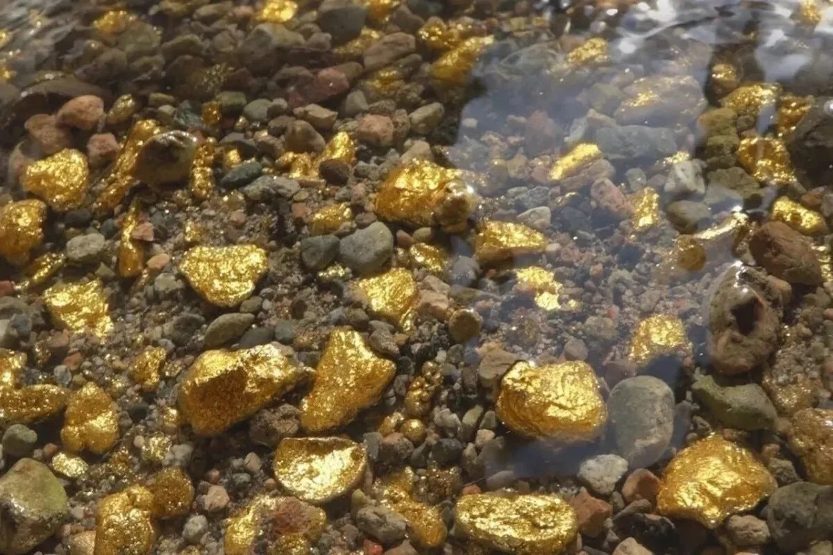 Altın Fiyatları Çıldırdı, Vatandaş Nehre Indi Bu Kasabada Avuç Avuç Altın Toplanıyor!A (2)