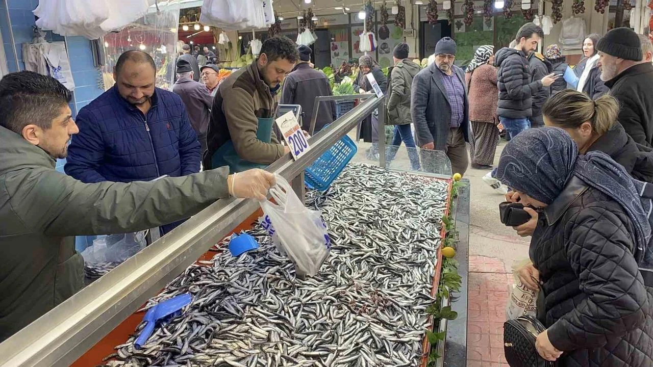 Bolu Pazarı’nda Hamsi Bereketi Fiyatlar Düştü, Vatandaş Tezgâha Koştu!-1