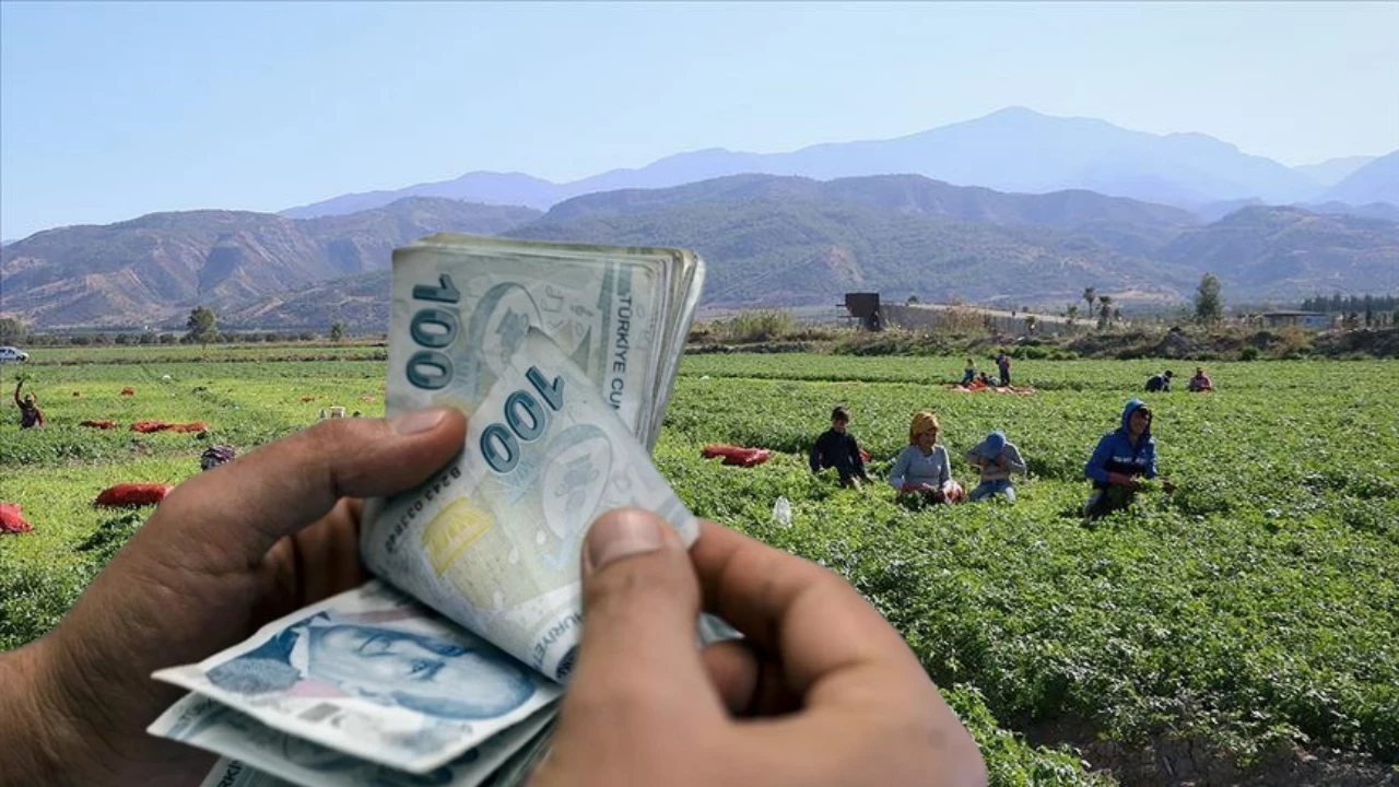 Tarım Işçisinin Alın Teri Kaç Tl Oldu Tüi̇k Açıkladı İşte 2025 Yılı Ücretleri!A