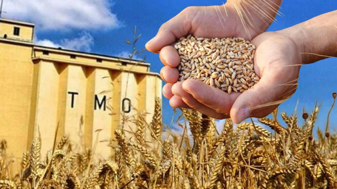 Tmo’dan Hububat Satış Fiyatlarına Ilişkin Kritik Karar Fiyatlar Sabitlendi!