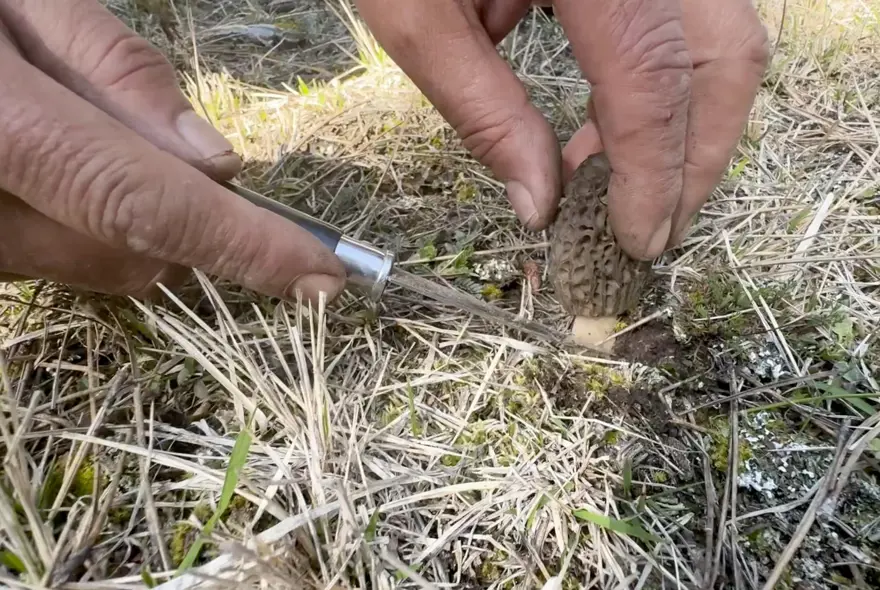 A W692139 05 530727