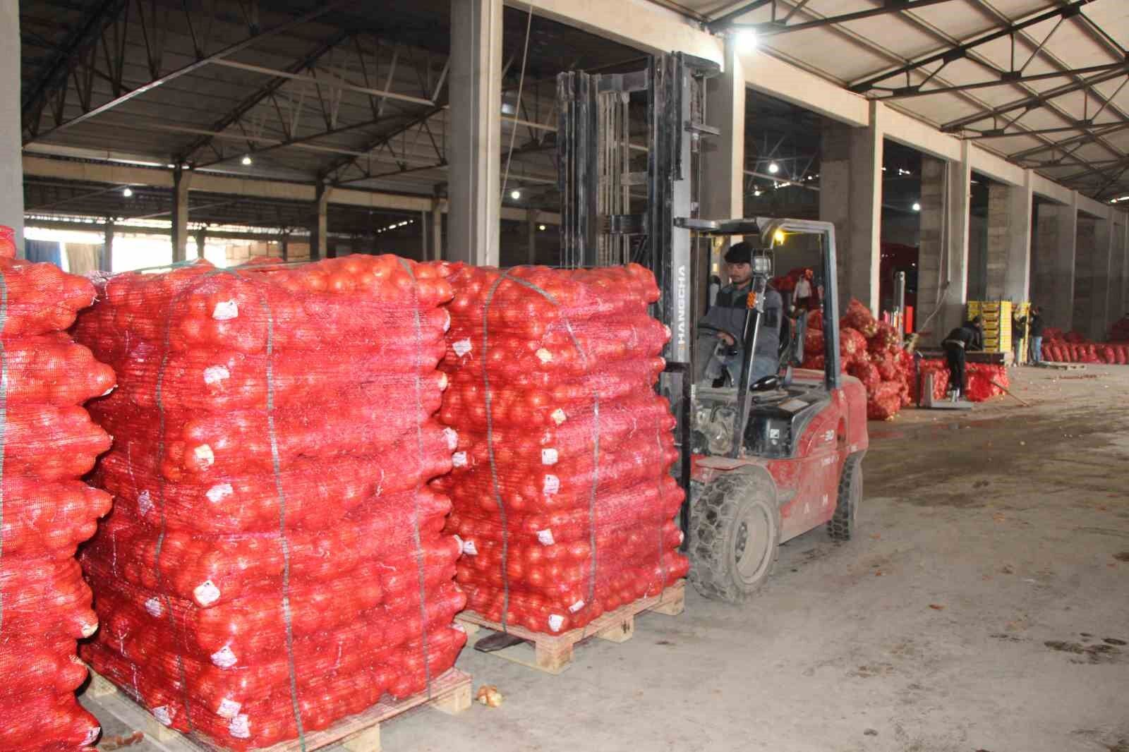 Amasya Soğanı Çürümekten Kurtuldu, Dünyaya Açıldı Depoda 7.5, Pazarda 15 Tl!J