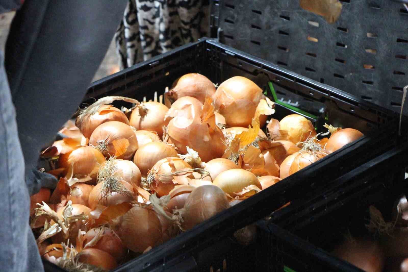 Güya Bir Tarım Ülkesiyiz Ama…  Soğan Üzerine Oynanan Oyunlar…  Yiğit Muhtaç Olmuş Kuru Soğan’a…  Bilmem Ağlasam Mı Ağlamasam Mı?