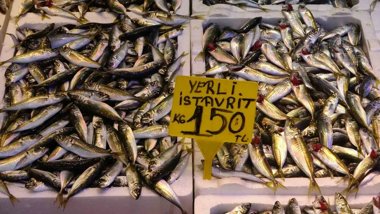 Denizlerde Yasak Başladı, Tezgâhlar O Balığa Kaldı! Kilosu 300 Tl...s-1