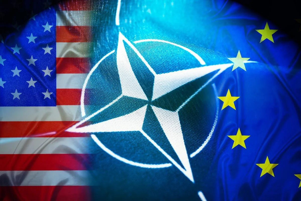 Nato’da ‘Zor Müttefik’ Çatlağı Abd Istedi Diye Üye Mi Atılacaku