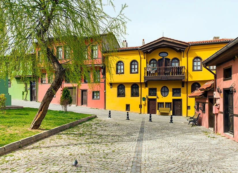 Odunpazari