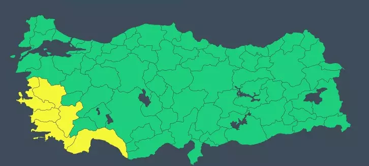Z D L F O 1775035624 8471