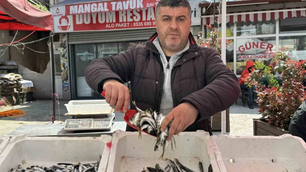 Zonguldak’ta Balık Tezgâhları Renk Değiştirdi Av Yasağı Sonrası ‘Olta’ Dönemi Başladı!A