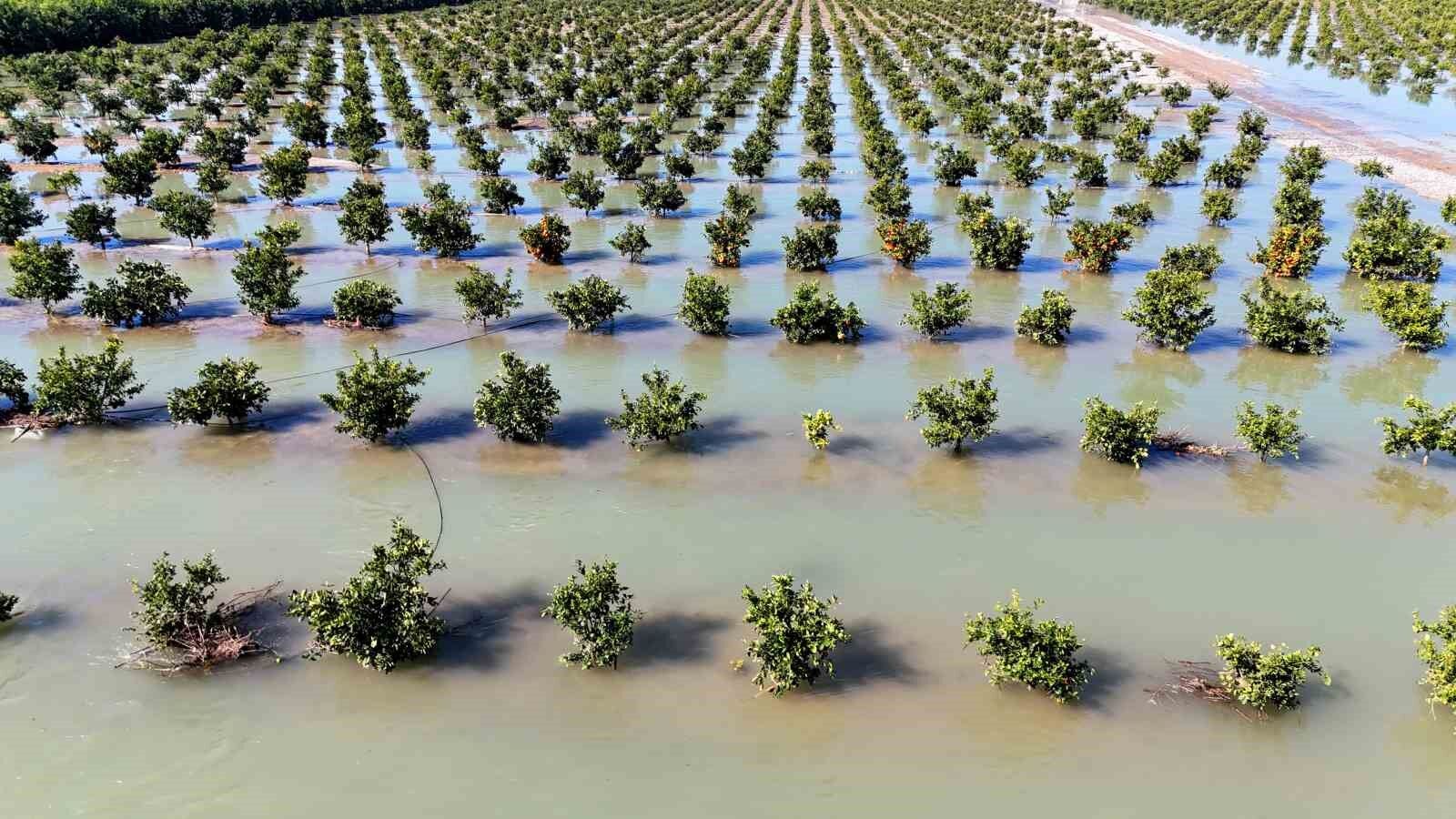Adana'da 90 Bin Dekar Arazi Sular Altında Kaldı Tarım Arazileri Göle Döndü!
