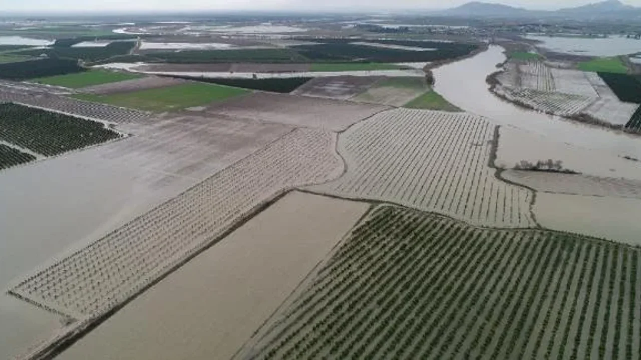 Adana'da 90 Bin Dekar Arazi Sular Altında Kaldı Tarım Arazileri Göle Döndü!S
