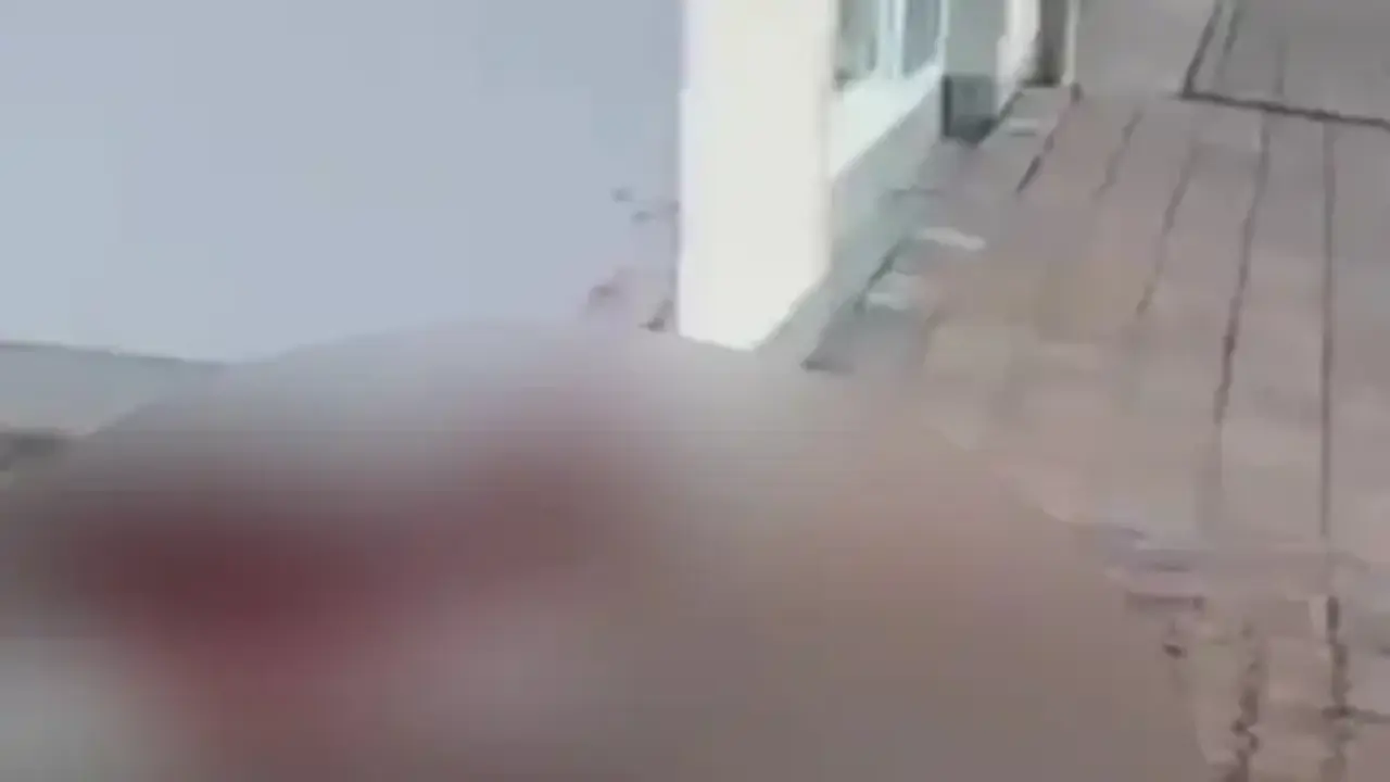 Bu Nefret Sizi Boğacak! Almanya'da Camiye Iğrenç Saldırı Domuz Başı Ve Kanlı Balonlar!S